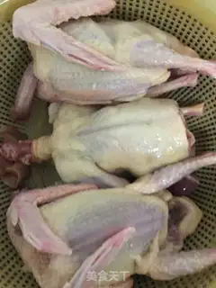 Make Cricket pigeon step 0