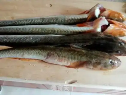 Make The catfish stew step 1