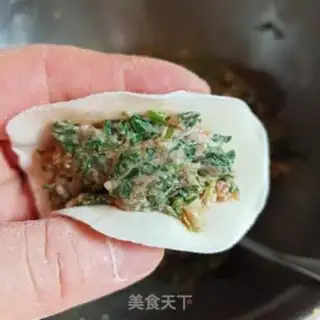 Make Pork dumplings step 7