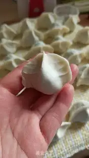 Make Pork dumplings step 8