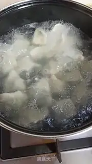Make Pork dumplings step 10