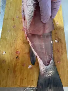 Make Boiled fish step 0