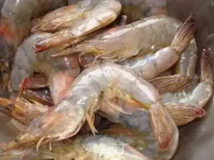 Make Shrimp step 2