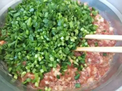 Make Pork dumplings step 4