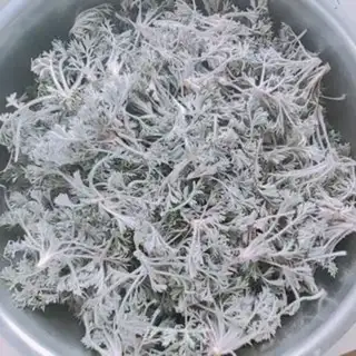Make Steamed artemisinin step 1