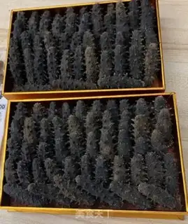 Make Sea cucumber hair step 0