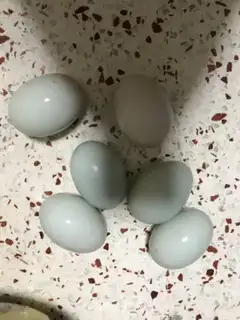 Make Yin Pines step 0