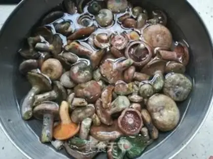 Make Goose fungus stew step 1