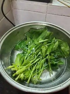 Make A spinach mix fan step 4