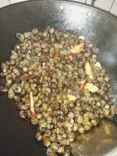 Make A snail