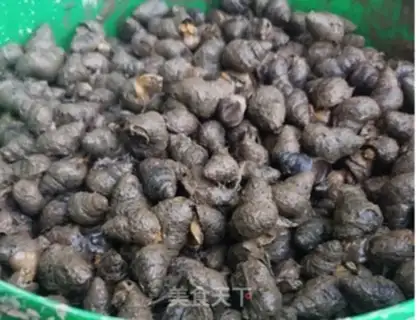 Make Cream snails step 0