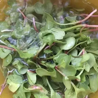 Make ♪ Sugar vinegar ♪ step 1