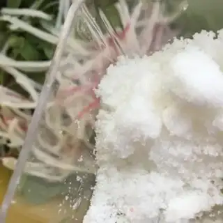 Make ♪ Sugar vinegar ♪ step 5