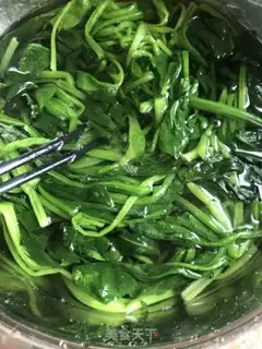 Make A spinach ginseng fan step 0