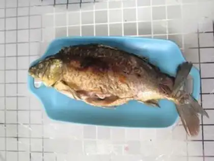 Make Red fish step 4
