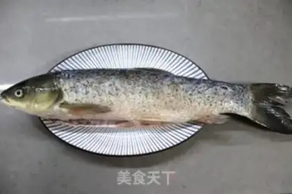 Make Beer and grassfish step 0