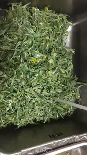 Make Qingmind fruit step 1