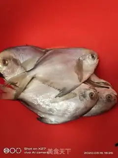 Make Red-burned minnow step 0