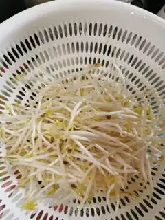 Make The bean sprouts step 0
