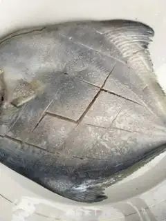 Make Silverfish step 0