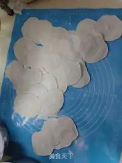 Make Pork dumplings step 11