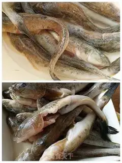Make Red catfish step 0