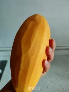 Make Orléans chicken step 9