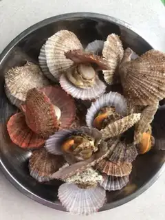 Make Steam scallops step 2