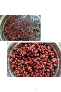 Make Homemade cactus tea step 3
