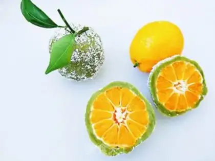 Make Coconut orange cake step 0