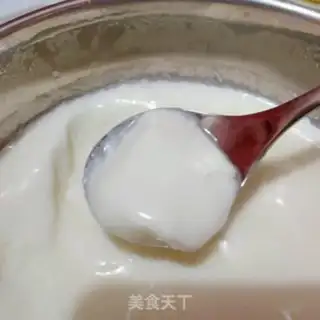 Make Yogurt step 4