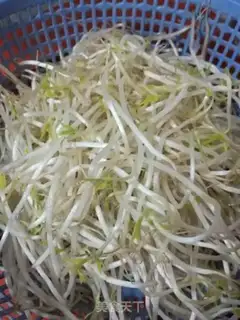 Make "Spring bean sprouts" step 2