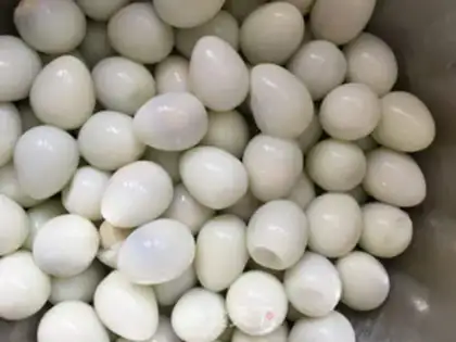 Make Five quail eggs step 2