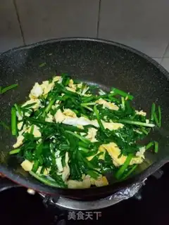 Make Cricket step 5