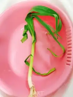 Make I