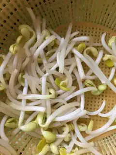 Make A bean sprouts fan step 1