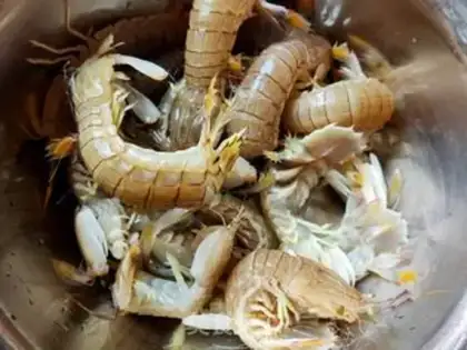 Make Shrimp step 0