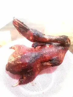 Make Duck step 10