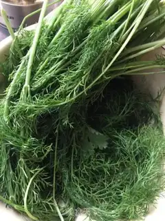 Make Carrot fragrance. Pumpkin buns and frying dumplings step 1