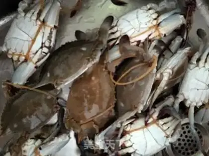 Make Steam crabs step 0