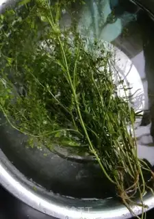 Make Eggs made from ground dishes step 0
