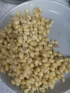 Make Bean sprouts step 0