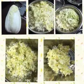 Make Pork dumplings step 0