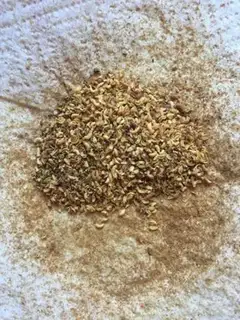 Make Homemade pepper salt step 10