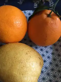 Make Sweet fruit soup step 1
