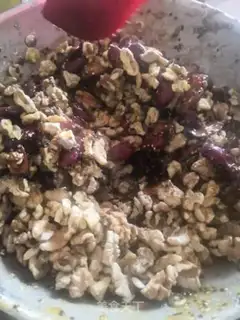 Make Red-tree walnut step 7
