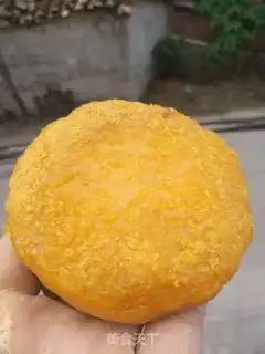 Make Pumpkin step 8