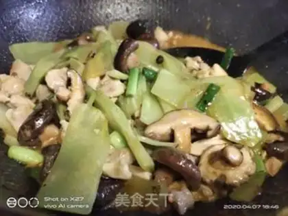Make Chicken step 9