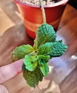 Make Honey mint lemon tea step 7