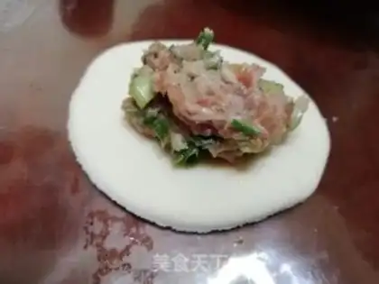 Make Handmade meat dumplings step 5